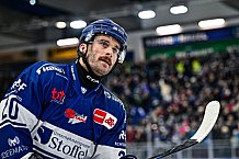 Eishockey, Herren, Penny DEL, 37. Spieltag, Saison 2023-2024, Straubing Tigers - Eisbären Berlin,12.01.2024