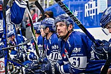 Eishockey, Herren, Penny DEL, 4. Spieltag, Saison 2023-2024, Straubing Tigers - Loewen Frankfurt,24.09.2023