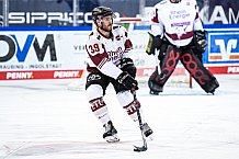 Eishockey, Herren, DEL, Saison 2020-2021, Straubing Tigers - Kölner Haie, 11.04.2021
