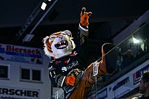 Eishockey, Herren, Penny DEL, 50. Spieltag, Saison 2023-2024, Straubing Tigers - Eisbären Berlin,01.03.2024