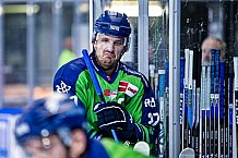 Eishockey, Herren, DEL, Saison 2022-2023, Hauptrunde, Straubing Tigers - EHC Red Bull München, 13. Spieltag, 21.10.2022