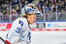 Eishockey, Men, DEL, Penny DEL, Hauptrunde Saison 2024-25, 8. Spieltag, Straubing Tigers - Adler Mannheim, 11.10.2024