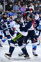 Eishockey, Herren, DEL, Saison 2021-2022, Straubing Tigers - Adler Mannheim, 10.09.2021