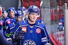 Eishockey, CHL, Champions Hockey League, 1. Spieltag, Saison 2022-2023, Gruppe F, Comarch Cracovia - Straubing Tigers, 01.09.2022