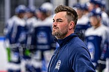 Eishockey, Herren, DEL, Penny DEL, Saison 2023-2024, Straubing Tigers, 04.08.2023