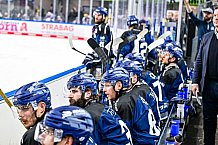 Eishockey, Herren, Penny DEL, Playoffs, Viertelfinale, Spiel 5, Saison 2023-2024, Straubing Tigers - Schwenninger Wild Wings,26.03.2024