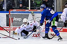 Eishockey, Herren, Penny DEL, DEL, Saison 2022-2023, Hauptrunde, Straubing Tigers - Kölner Haie, 29. Spieltag, 11.12.2022