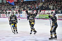 Herren, Eishockey, Oberliga-Süd, Saison 2022-2023, DEB, Deggendorfer SC - EV Herne Miners, Playoff, Viertelfinale, Spiel 4, 04.04.2023