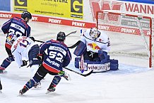 Eishockey, Herren, DEL, Saison 2020-2021, Straubing Tigers - EHC Red Bull München, 22.02.2021