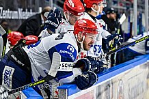 Eishockey, Herren, Penny DEL, Playoffs, Viertelfinale, Spiel 7, Saison 2023-2024, Straubing Tigers - Schwenninger Wild Wings,30.03.2024