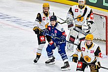 Eishockey, Men, CHL, Champions Hockey League, Regular Saison 2024-25, Game Day 2, Straubing Tigers - Skelleftea AIK, 08.09.2024