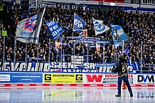 Eishockey, Herren, Penny DEL, 20. Spieltag, Saison 2023-2024, Straubing Tigers - Duesseldorfer EG,19.11.2023
