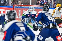 Eishockey, Men, CHL, Champions Hockey League, Regular Saison 2024-25, Game Day 2, Straubing Tigers - Skelleftea AIK, 08.09.2024