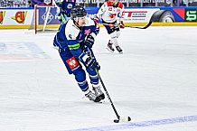 Eishockey, Men, CHL, Champions Hockey League, Regular Saison 2024-25, Game Day 4, Straubing Tigers - Dynamo Pardubice, 15.09.2024