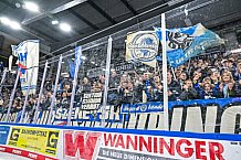 Eishockey, Herren, Penny DEL, 20. Spieltag, Saison 2023-2024, Straubing Tigers - Duesseldorfer EG,19.11.2023