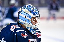 Eishockey, Herren, DEL, Saison 2021-2022, Straubing Tigers - Adler Mannheim, 10.09.2021