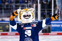 Eishockey, Herren, DEL, Saison 2021-2022, 19.10.2021