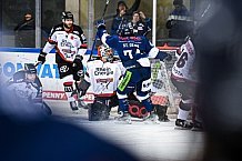 Eishockey, Herren, DEL, Saison 2021-2022, 07.11.2021