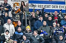 Eishockey, Herren, Penny DEL, 22. Spieltag, Saison 2023-2024, Straubing Tigers - Fischtown Pinguins Bremerhaven,26.11.2023