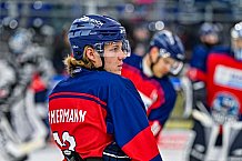 Eishockey, Herren, Penny DEL, 42. Spieltag, Saison 2023-2024, Straubing Tigers - Ingolstadt Panther,28.01.2024