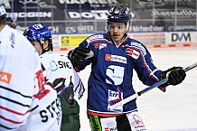 Straubing Tigers - Augsburger Panther