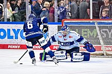 Eishockey, Herren, DEL, Penny DEL, Saison 2023-2024, Straubing Tigers, öffentliches Eistraining,06.08.2023
