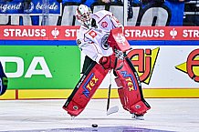 Eishockey, Herren, CHL, Champions Hockey League, Saison 2022-2023, Achtelfinale, Straubing Tigers - Frölunda HC Göteborg, Rückspiel, 22.11.2022