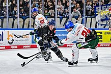 Eishockey, Herren, Penny DEL, 34. Spieltag, Saison 2023-2024, Straubing Tigers - Augsburger Panther,03.01.2024