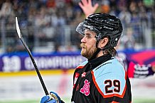 Eishockey, Men, CHL, Champions Hockey League, Regular Saison 2024-25, Game Day 1, Straubing Tigers - SonderjyskE Vojens, 06.09.2024