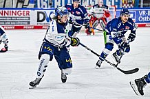 Eishockey, Herren, Penny DEL, 26. Spieltag, Saison 2023-2024, Straubing Tigers - Iserlohn Roosters,10.12.2023