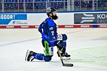 Eishockey, Herren, DEL, Saison 2023-2023, Straubing Tigers, Showtraining, 06.08.2022