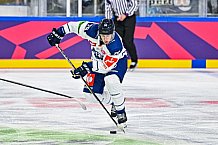 Eishockey, Men, CHL, Champions Hockey League, Regular Saison 2024-25, Game Day 1, Straubing Tigers - SonderjyskE Vojens, 06.09.2024