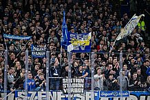 Eishockey, Herren, Penny DEL, 47. Spieltag, Saison 2023-2024, Straubing Tigers - Koelner Haie,18.02.2024