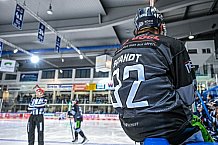 Eishockey, Herren, DEL, Saison 2021-2022, 29.10.2021