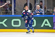 Eishockey, Men, CHL, Champions Hockey League, Regular Saison 2024-25, Game Day 2, Straubing Tigers - Skelleftea AIK, 08.09.2024