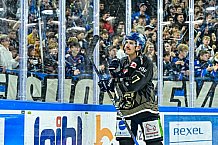 Eishockey, Herren, Penny DEL, 12. Spieltag, Saison 2023-2024, Straubing Tigers - Duesseldorfer EG,20.10.2023