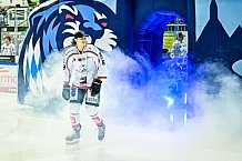 Eishockey, Herren, EHC Straubing U20, Saison 2021-2022, Ehrung, Bayerischer Meister 23.03.2022