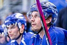 Eishockey, Herren, DEL, Penny DEL, Vorbereitung, Gäubodencup 2023, Saison 2023-2024, Straubing Tigers - Nürnberg Ice Tigers,18.08.2023