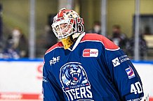 Eishockey, Herren, DEL, Saison 2021-2022, 39. Spieltag, Straubing Tigers - Grizzlys Wolfsburg,  18.02.2022