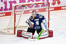 Eishockey, Herren, DEL, Saison 2021-2022, 55. Spieltag, Straubing Tigers - Augsburger Panther,  13.03.2022
