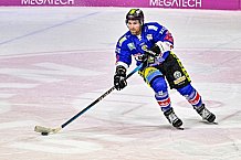 Herren, Eishockey, Oberliga-Sued, Saison 2023-2024, DEB, Deggendorfer SC - Bayreuth Tigers, 1. Spieltag, 28.09.2023