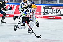 Eishockey, Herren, Penny DEL, 22. Spieltag, Saison 2023-2024, Straubing Tigers - Fischtown Pinguins Bremerhaven,26.11.2023