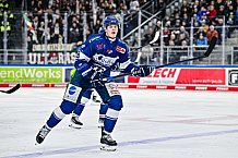 Eishockey, Herren, Penny DEL, 40. Spieltag, Saison 2023-2024, Straubing Tigers - Augsburger Panther,21.01.2024