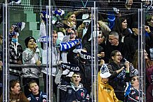 Eishockey, Herren, DEL, Saison 2021-2022, 19.10.2021