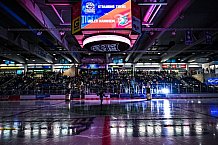 Eishockey, Herren, DEL, Saison 2021-2022, Straubing Tigers - Adler Mannheim, 10.09.2021