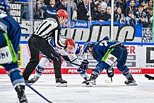 Eishockey, Herren, Penny DEL, Playoffs, Viertelfinale, Spiel 5, Saison 2023-2024, Straubing Tigers - Schwenninger Wild Wings,26.03.2024