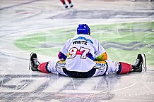 Eishockey, Herren, DEL, Penny DEL, Saison 2022-2023, Hauptrunde, Straubing Tigers - Eisbären Berlin, 37. Spieltag, 30.12.2022