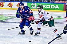 Eishockey, Herren, CHL, Champions Hockey League, Saison 2022-2023, Achtelfinale, Straubing Tigers - Frölunda HC Göteborg, Rückspiel, 22.11.2022