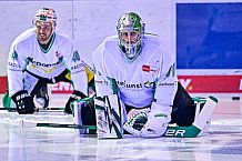 Eishockey, Herren, Penny DEL, DEL, Saison 2022-2023, Hauptrunde, Straubing Tigers - Bietigheim Steelers, 33. Spieltag, 20.12.2022