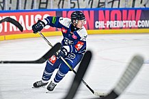 Eishockey, Men, CHL, Champions Hockey League, Regular Saison 2024-25, Game Day 2, Straubing Tigers - Skelleftea AIK, 08.09.2024